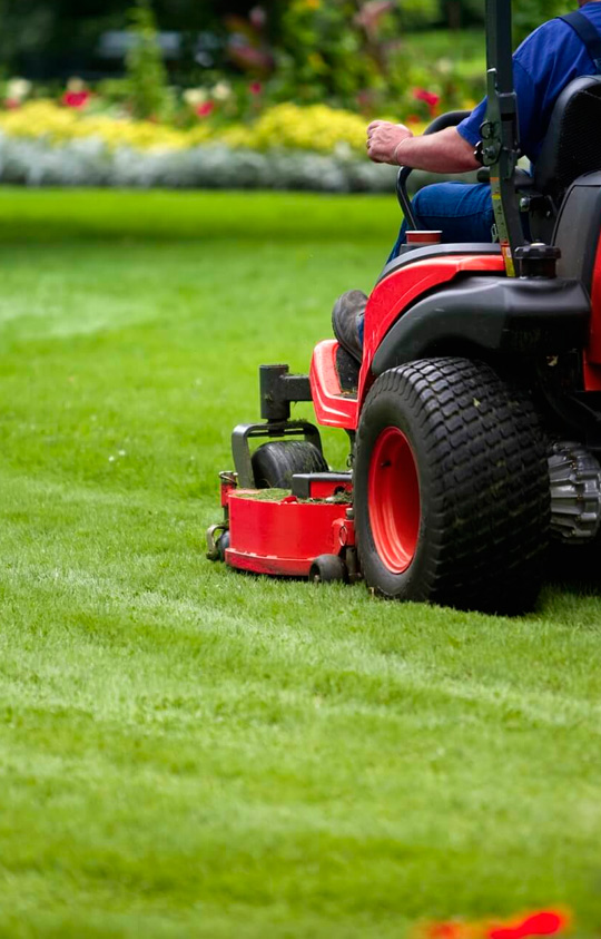 manteniiento-jardines